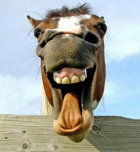 Философское кантри