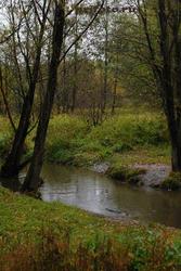 Осенняя зарисовка