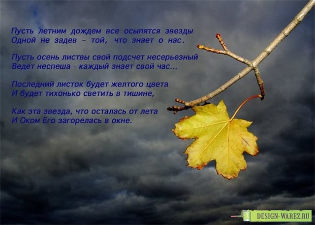 Любовь спешит