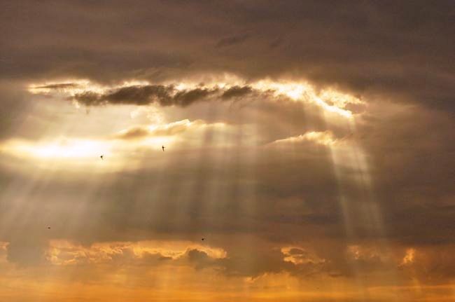 Сонет 12 Магическую формулу дождя...