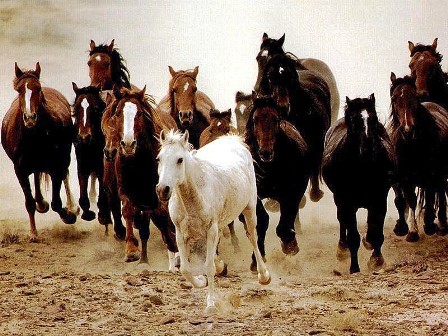 Бесстрашен Воин Света