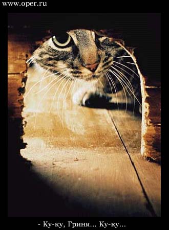 Чем больше, тем меньше...