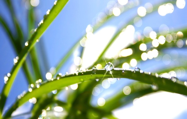 Не уходи лето