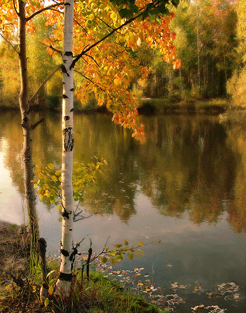 Значит скоро сентябрь...