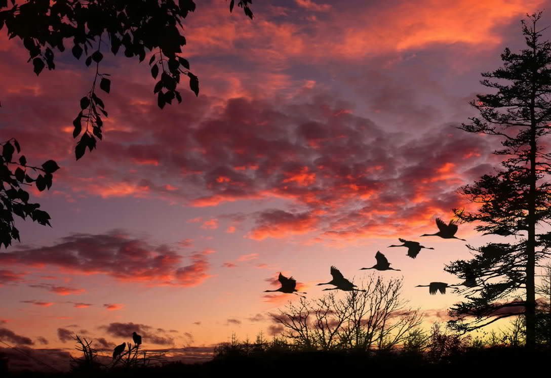 Что-то вечер синий раскудрявился...