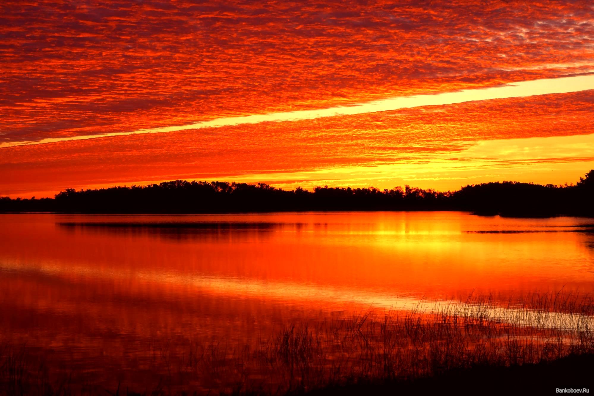 Багряный горизонт. Озеро красный Восход Рязань. Алый закат. Природа закат. Красный закат.