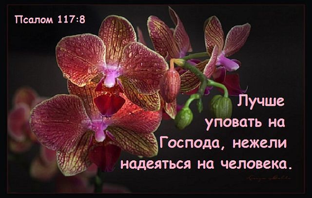 Упование