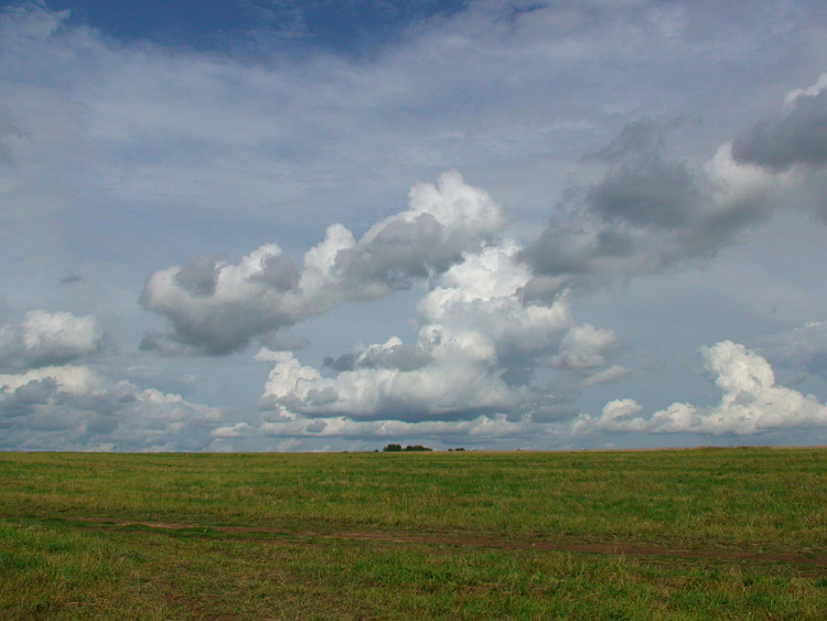 Сынишка маленький