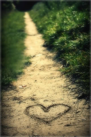 Дорога любви!