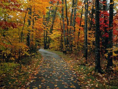 Осенние приметы