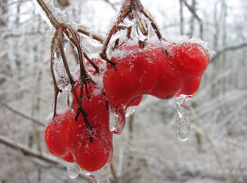 Трiшки глибше нiж на нiж