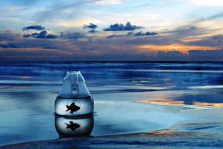 С Истиной по Жизни радостно шагать...