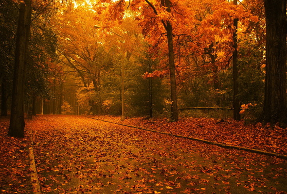 Согрей мне душу