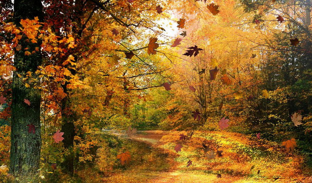 Волшебной палочкой взмахну...