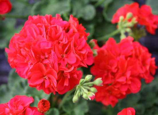 Утро - первого сентября