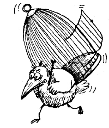 Жёсткие рамки