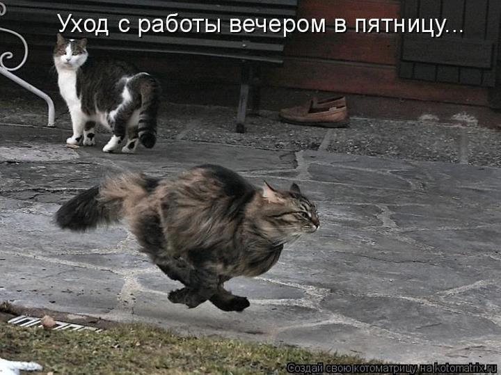 Время неумолимо ловит нас...