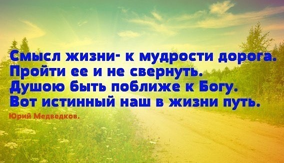 Мудрые высказывания про дорогу. Цитаты куприна. Лао цзы изображение. Недорого ничто дорого вежество иллюстрация. Мудрость дороже.