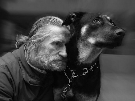 Сдаётся мне, что ты не бил собак...