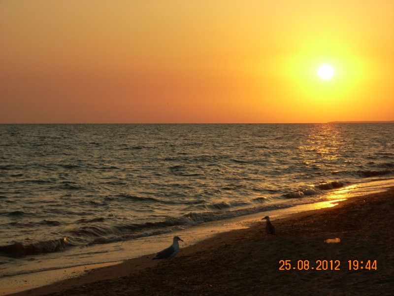 Знакомство с морем