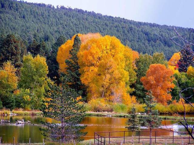 Снова осенью дышу