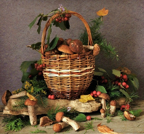 По грибочки я ходила