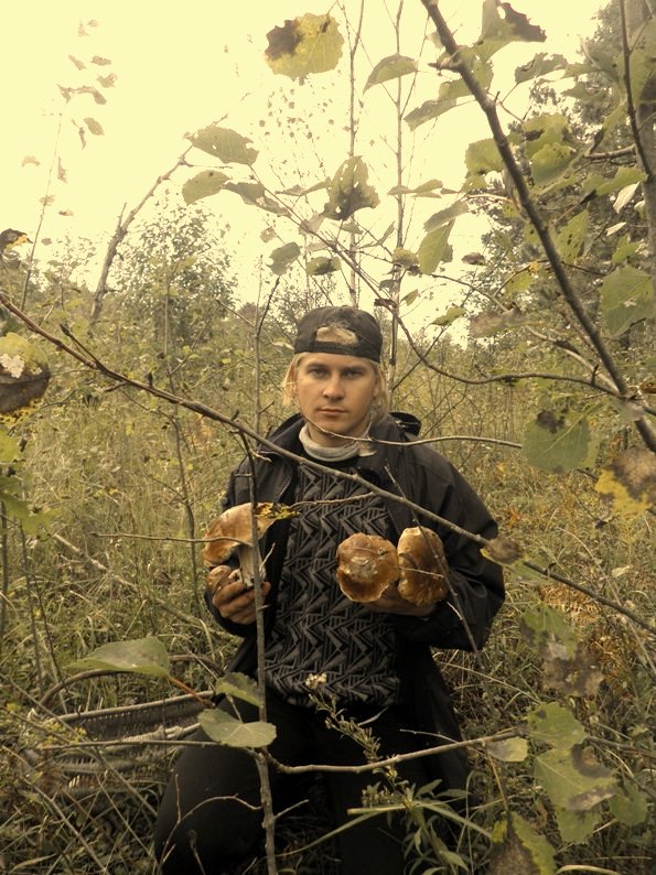 Бравая песня грибов