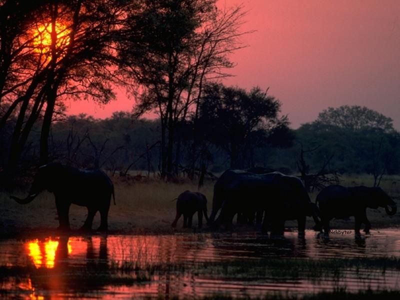 Как-то, рано по утру (Максим Кубарев) / Стихи.ру