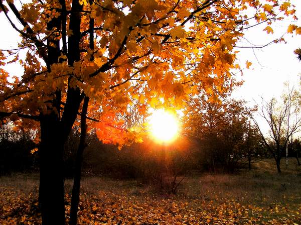 Осенний Уют Фото