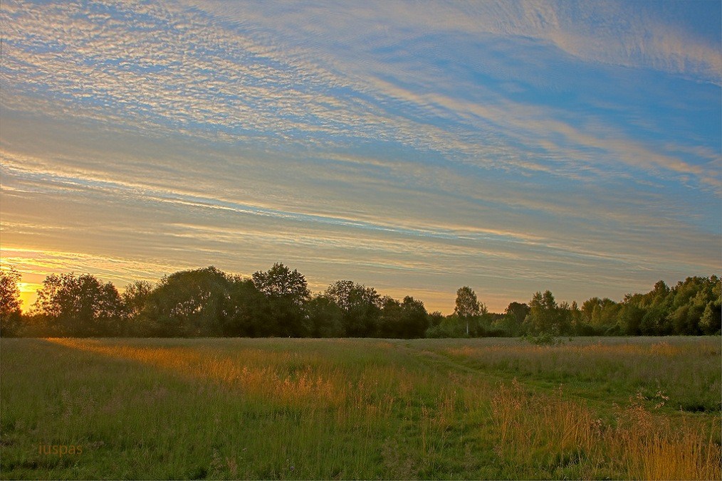 Под шёлковым небесным покрывалом