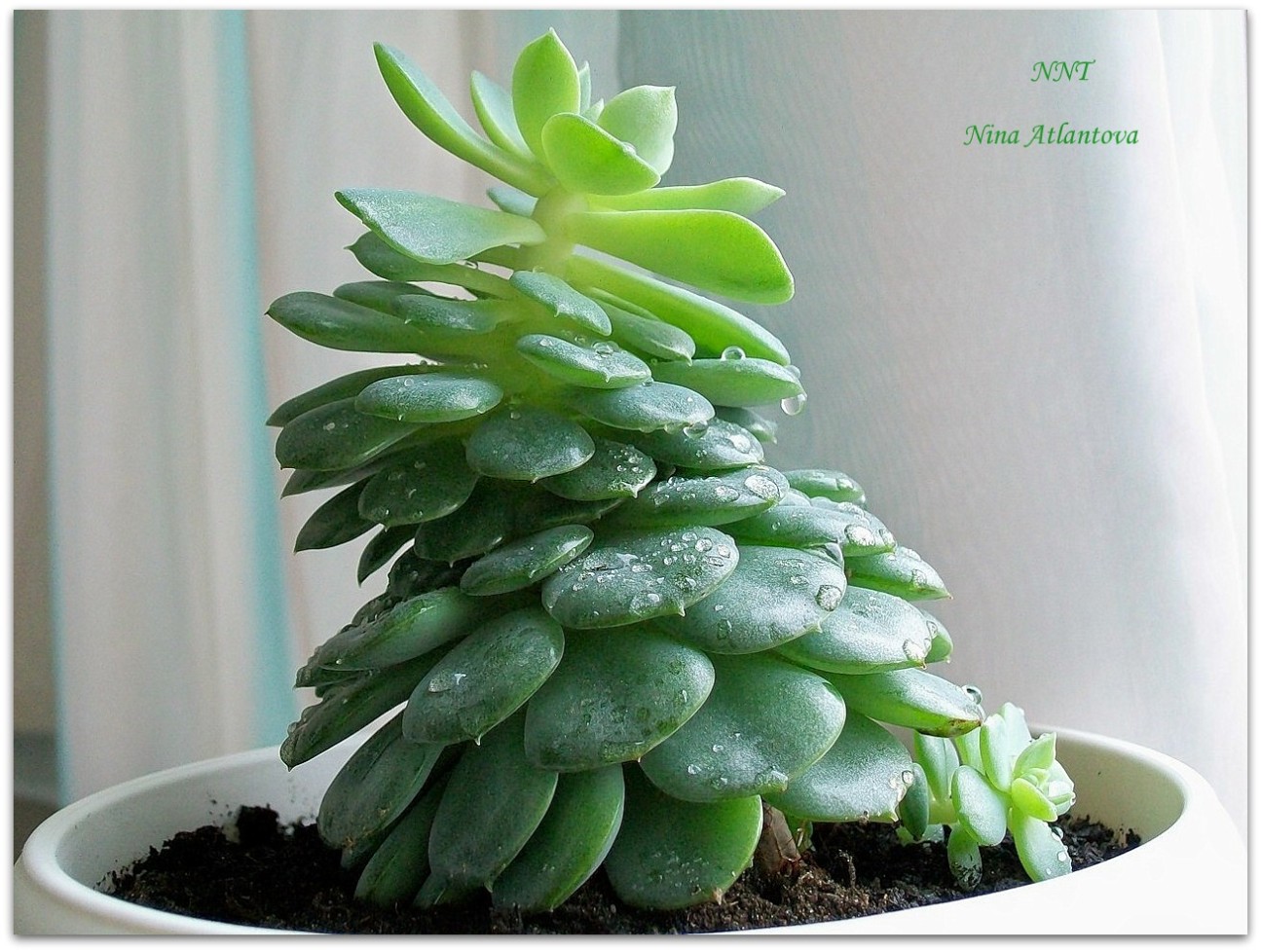 Как оказалось