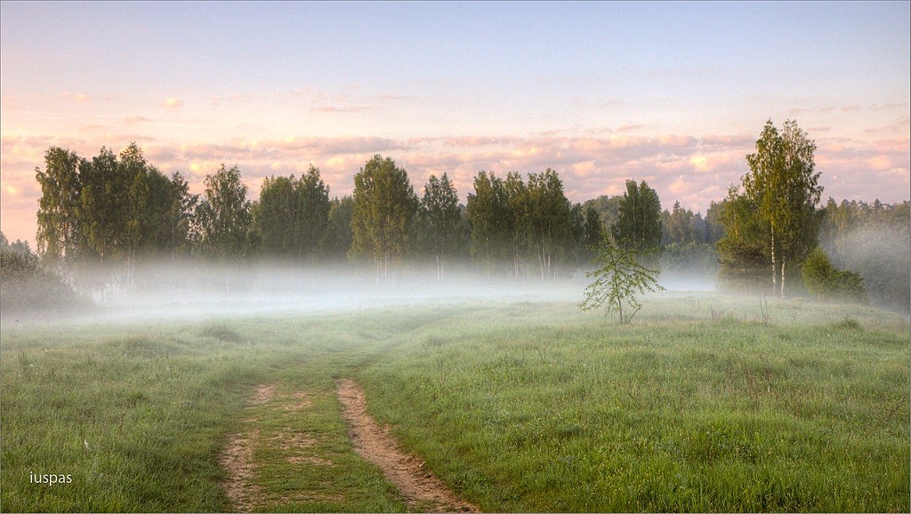 Я приглашаю вас в туман
