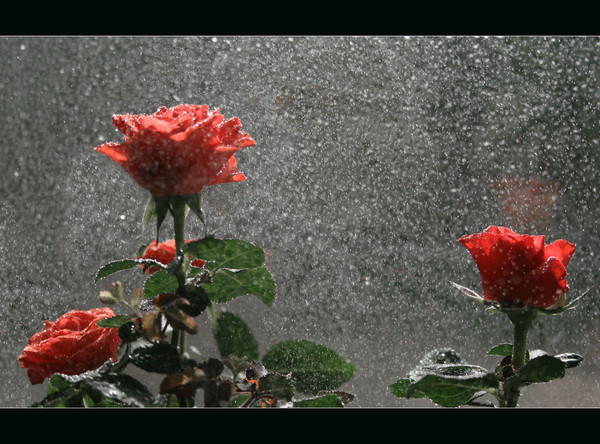 Видишь, всё очень просто или пожелание на прощание