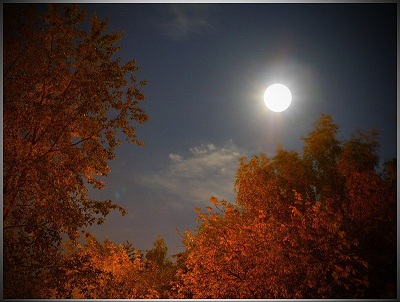 Осенний саксофон