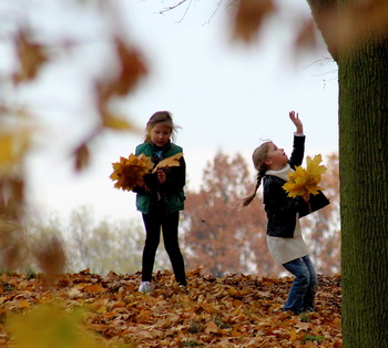 Иду сквозь сон оранжевой листвы