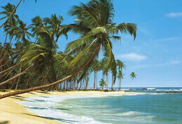 Берегами мечты...