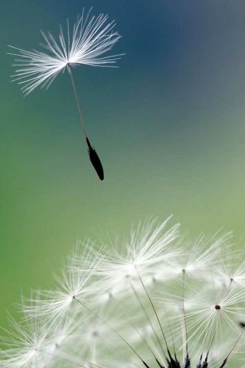 Осталось немного...