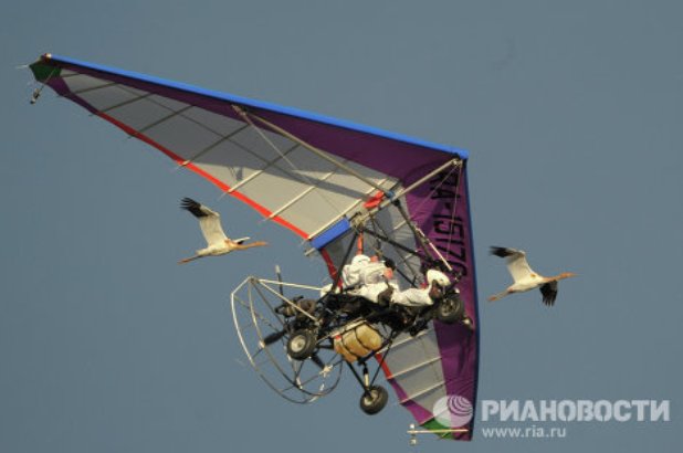 Журавли, журавли