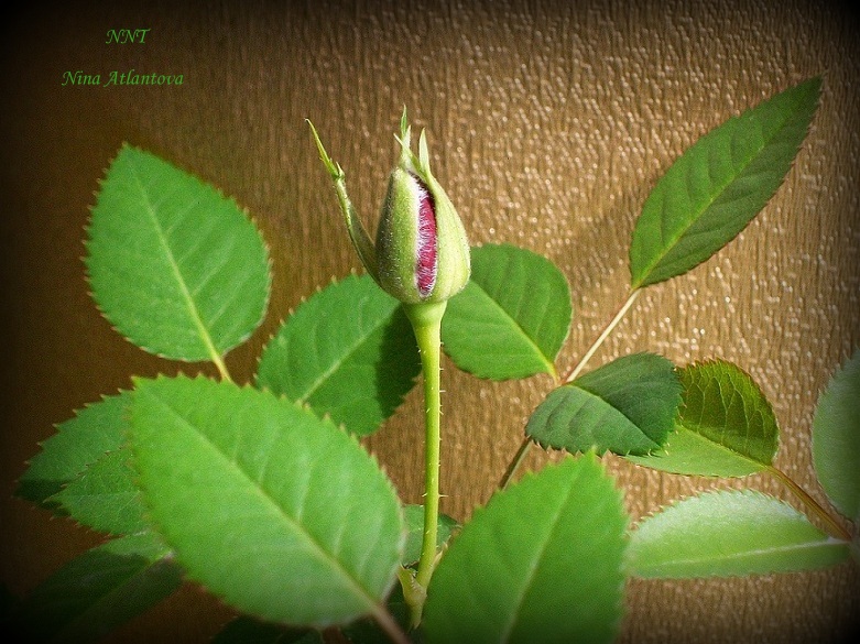 Не все изведаны пути