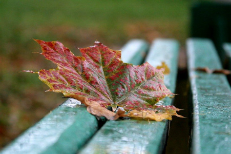 Осенний воздух
