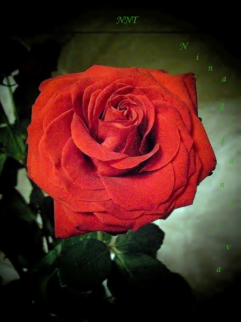 Будет счастлива