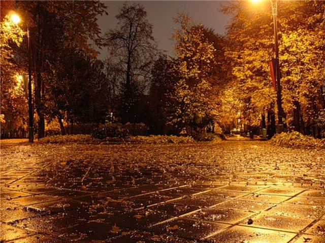 Воруют ночь усмешки фонарей