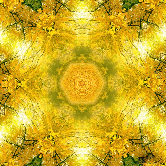 Осень во дворе