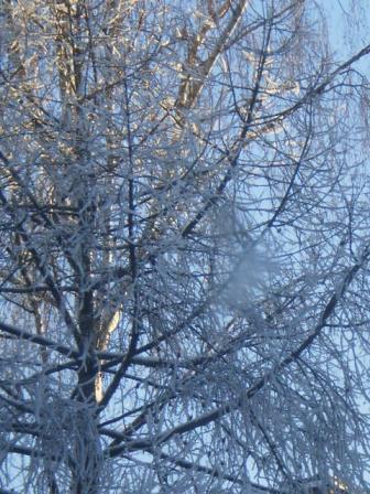 Жить захочется...