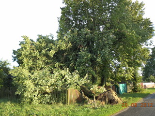 А мы тут рачкуйим прамо