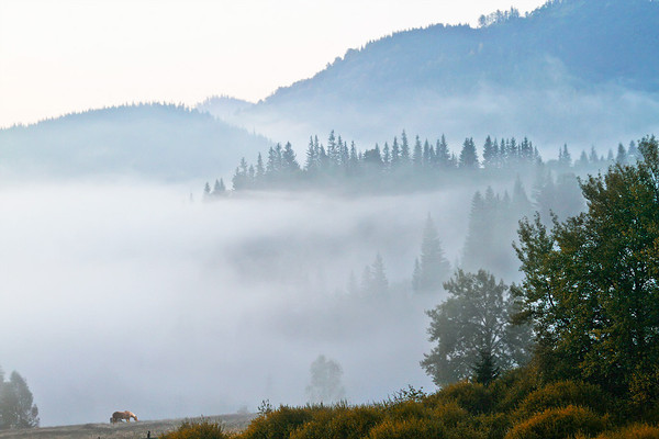 Мы с тобой тонули в том тумане...