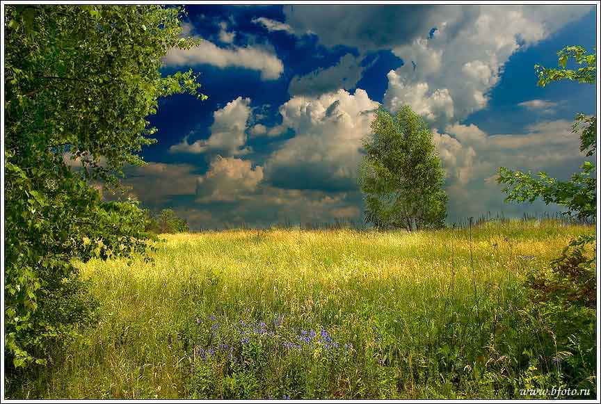 Разговор с рябиной