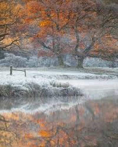 В листья впиталась сентябрьская влага