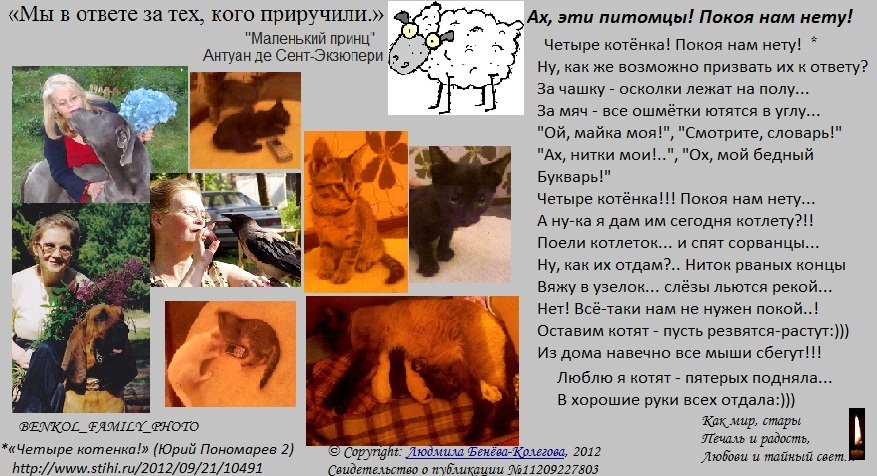 Ах, эти питомцы! Покоя нам нету!