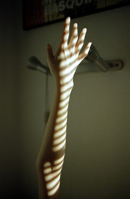 Не мой бред